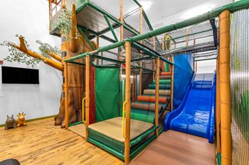 Children's jungle gym