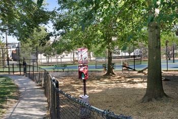 Dog park