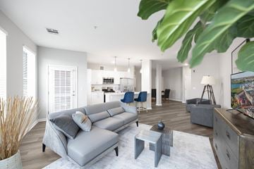 Bayonne apartment for rent - A living room with a grey sofa and a white rug.