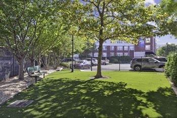 A park with green grass and trees and a fence
