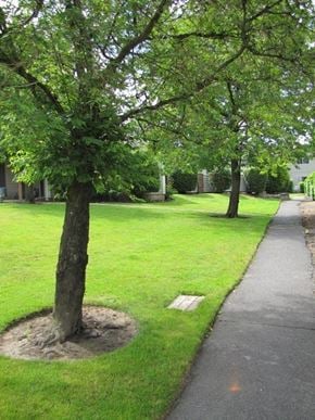 Portland apartment for rent - Tara West Apartments Walkway
