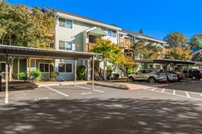Aloha apartment for rent - A parking lot with cars and apartment buildings in the background.