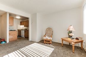 Cornelius apartment for rent - a living room with a kitchen in the background