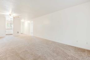 Portland apartment for rent - Colonial Village Apartments Living Room
