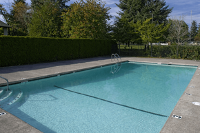 Gresham apartment for rent - A rectangular pool with a hedge in the background.