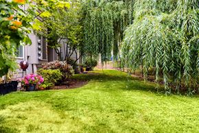 Fairview apartment for rent - Cedar Grove Apartments Garden