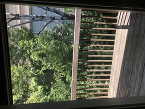 Portland apartment for rent - A view of a wooden staircase and a tree through a window.