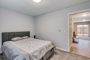 Albany apartment for rent - Queen Court Apartments Bedroom