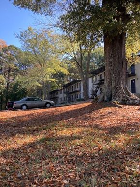 Jonesboro apartment for rent - a car parked next to a tree in a yard