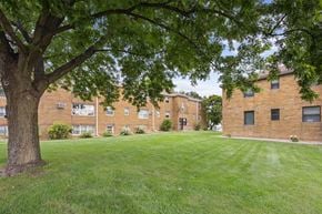 St. Louis Park apartment for rent - A tree in front of a brick building.