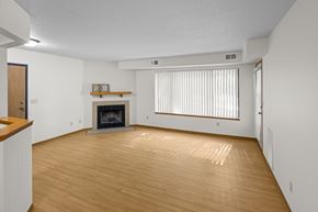 Chaska apartment for rent - A living room with a fireplace and a wooden floor.
