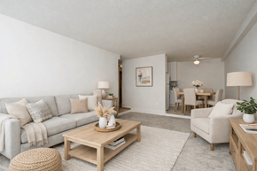 St. Louis Park apartment for rent - A living room with a grey couch, a wooden coffee table, and a white rug.