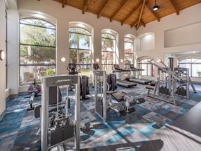 Chandler apartment for rent - a gym with weights and cardio equipment in a building with tall windows
