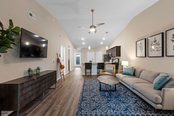 Holt apartment for rent - A living room with a grey couch and a blue patterned rug.
