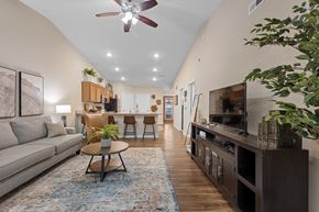 Zeeland apartment for rent - A living room with a grey sofa, a coffee table, a ceiling fan, and a rug.