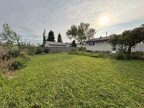 Edmonton apartment for rent - A backyard with a lawn and a house in the background.