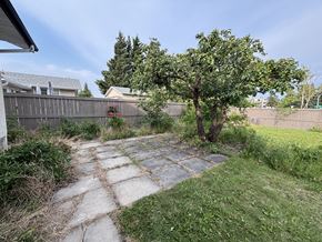 Edmonton apartment for rent - A backyard with a tree, a fence, and a stone path.