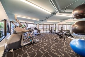 Seattle apartment for rent - A gym with a variety of equipment including a treadmill, exercise ball, and weight machine.