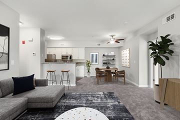 San Ramon apartment for rent - A living room with a grey couch and a rug.