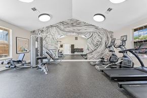 Hillsboro apartment for rent - A gym with treadmills and exercise equipment.