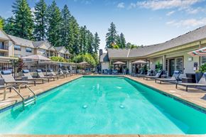 Hillsboro apartment for rent - A large outdoor swimming pool surrounded by lounge chairs and umbrellas.