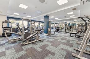 Lyndhurst apartment for rent - a gym with weights and cardio equipment in a building