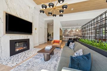Gaithersburg apartment for rent - a living room with a couch and a fireplace