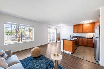 Larkspur apartment for rent - A living room with a grey couch and a blue rug.