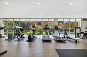 Palo Alto apartment for rent - A gym with treadmills, elliptical machines, and other exercise equipment.