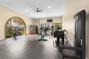 Camarillo apartment for rent - the gym at the whispering winds apartments in pearland, tx