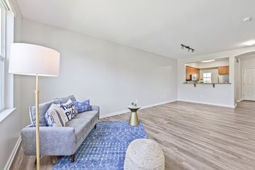 Pleasanton apartment for rent - A living room with a grey couch and a blue rug.