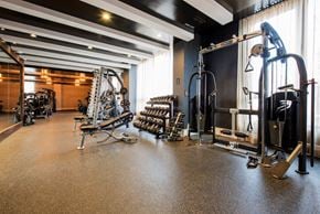 Brooklyn apartment for rent - A gym with a variety of equipment including weights and machines.