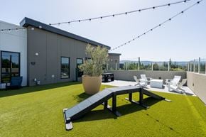 Mountain View apartment for rent - a roof terrace with a picnic table and chairs and a building