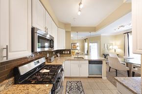 Alexandria apartment for rent - A modern kitchen with a black stove top oven and white cabinets.