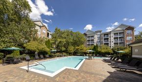 Alexandria apartment for rent - A swimming pool surrounded by lounge chairs and umbrellas in a sunny outdoor setting.