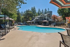 Sammamish apartment for rent - our resort style swimming pool with our house in the background
