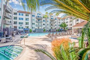 San Diego apartment for rent - A pool surrounded by palm trees and chairs.