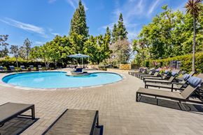 Oceanside apartment for rent - a resort style pool with lounge chairs and umbrellas