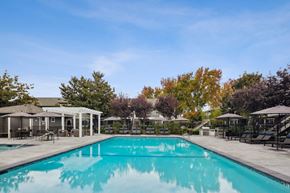 San Jose apartment for rent - A large swimming pool surrounded by trees and a covered patio area.