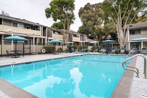 Dublin apartment for rent - A swimming pool in front of apartment buildings.