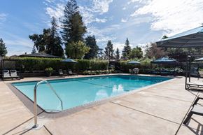 Fremont apartment for rent - A swimming pool surrounded by trees and a clear sky.
