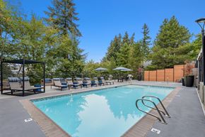 Bellevue apartment for rent - A swimming pool surrounded by trees and lounge chairs.