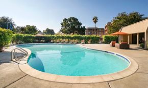Fremont apartment for rent - sparkling swimming pool