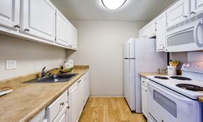Fremont apartment for rent - kitchen with energy-efficient appliances