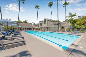 San Diego apartment for rent - A large swimming pool surrounded by palm trees and sun loungers.