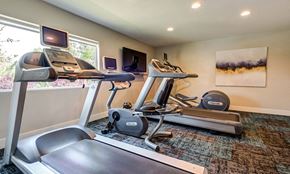 Thousand Oaks apartment for rent - Fitness Center