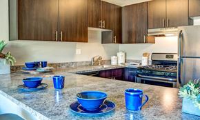 Belmont apartment for rent - a kitchen with a counter with blue cups on it
