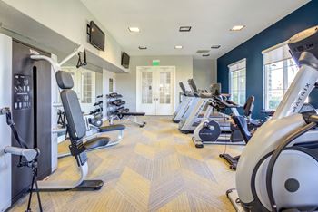 Complete fitness center with cardio machines and free weights