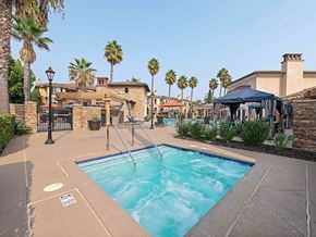 Vista apartment for rent - a swimming pool with palm trees and a building in the background