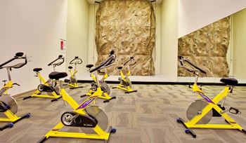 24-Hour fitness center with free weights